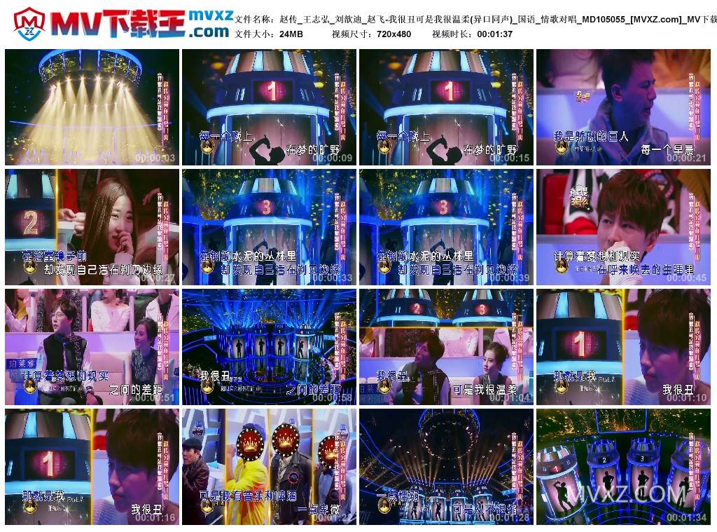 赵传_王志弘_刘歆迪_赵飞-我很丑可是我很温柔(异口同声)_国语_情歌对唱_MD105055